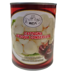 Castagna D'Acqua Cinese In Scatola 304g - Perfetta Per Ricette Asiatiche