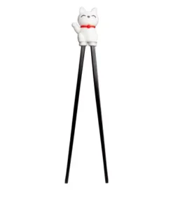 🐾HASHI Con Accessorio Gatto Removibile – Bacchette Guida Per Imparare Velocemente